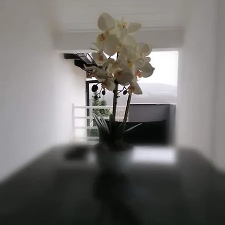 Quarto em Acomodações Particulares Apartman Panorama